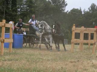 p1050996_dxo_800