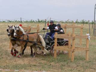p1060062_dxo_800