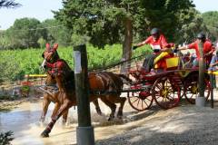 Concours complet Castries 2009