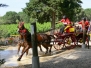 Concours complet Castries 2009