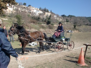 roquesurpernes006