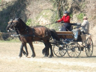 roquesurpernes012