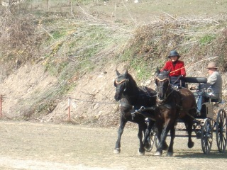roquesurpernes014