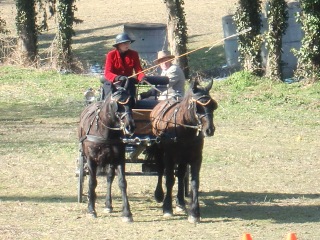 roquesurpernes024