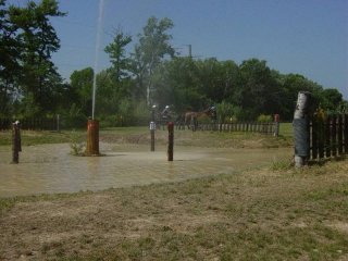 dsc00032