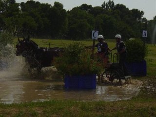 dsc00042