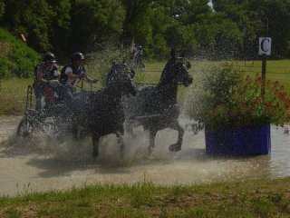 dsc00048