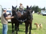 Concours complet Meynes 2009