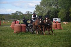 Concours de Tresques 2023