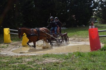 DSC_1758