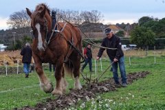 concours-labour-2017-uzes