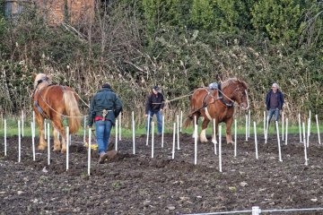 DSCF1401_1200