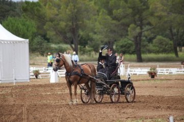 thumb_IMG_6712_1024