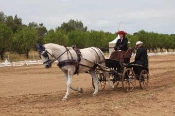 thumb_IMG_6717_1024