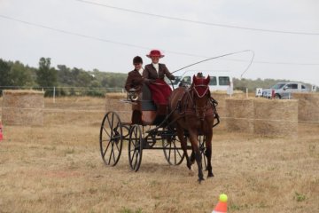 thumb_IMG_6778_1024