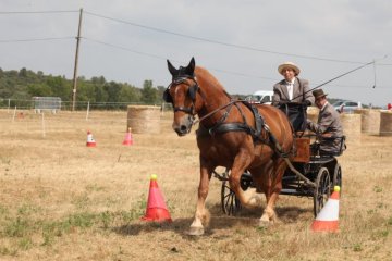 thumb_IMG_6810_1024