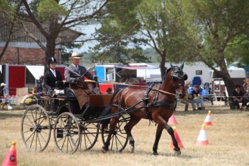 thumb_IMG_6811_1024