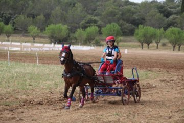 thumb_IMG_6834_1024