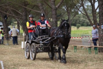 thumb_IMG_6837_1024