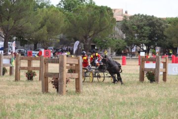 thumb_IMG_6843_1024