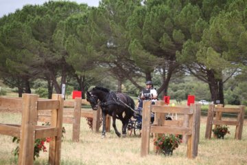 thumb_IMG_6870_1024