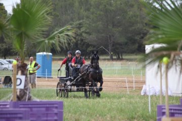 thumb_IMG_6900_1024