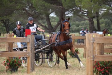 thumb_IMG_6927_1024