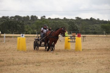 thumb_IMG_6953_1024