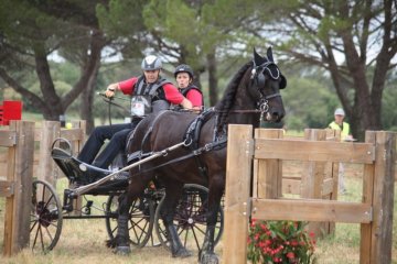 thumb_IMG_6972_1024