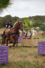 thumb_IMG_7025_1024