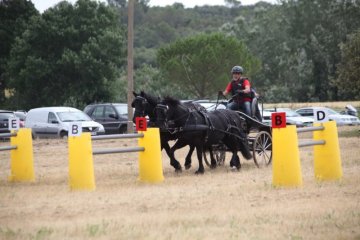 thumb_IMG_7041_1024