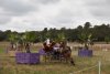 thumb_IMG_7138_1024