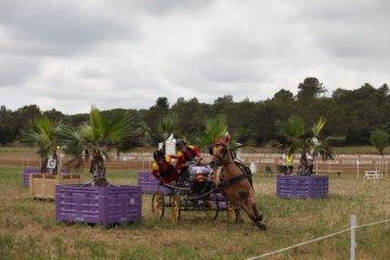 thumb_IMG_7138_1024