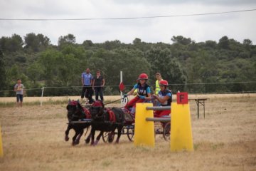 thumb_IMG_7155_1024