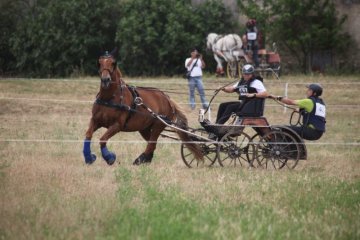 thumb_IMG_7183_1024