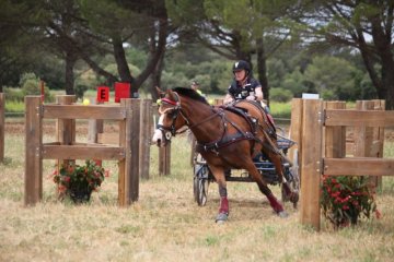 thumb_IMG_7245_1024