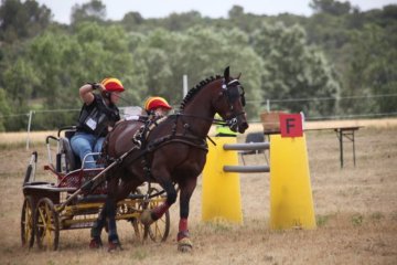 thumb_IMG_7289_1024