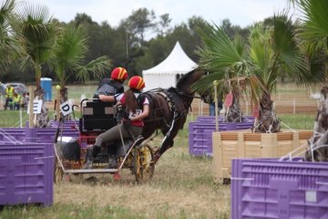 thumb_IMG_7315_1024