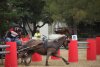 thumb_IMG_7338_1024