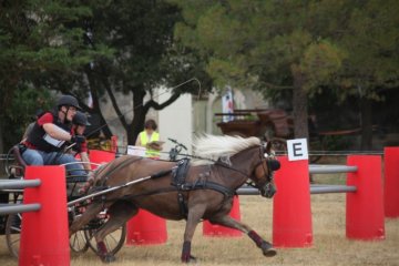 thumb_IMG_7338_1024