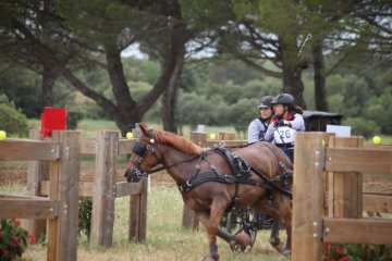 thumb_IMG_7351_1024