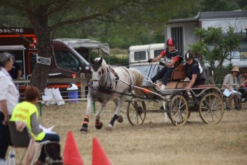 thumb_IMG_7403_1024