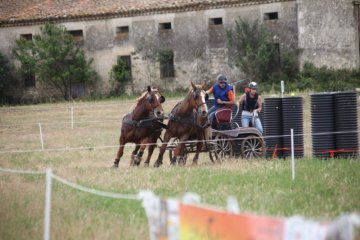 thumb_IMG_7424_1024