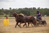 thumb_IMG_7443_1024