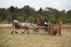 thumb_IMG_7458_1024