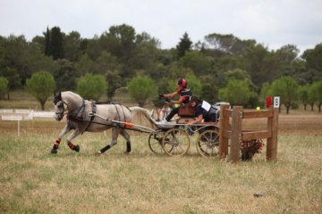 thumb_IMG_7458_1024