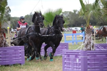 thumb_IMG_7484_1024
