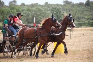 thumb_IMG_7495_1024