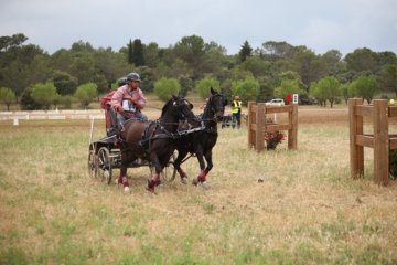thumb_IMG_7515_1024