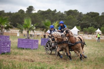 thumb_IMG_7531_1024